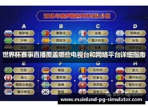 世界杯赛事直播覆盖哪些电视台和网络平台详细指南