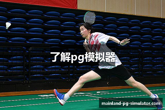 了解pg模拟器